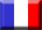 Français (fr)